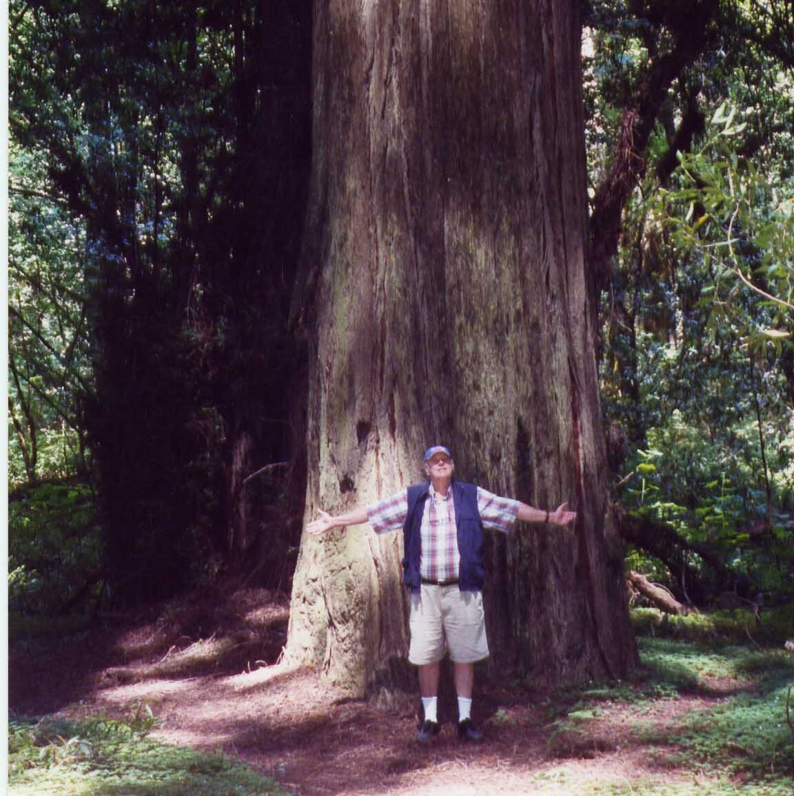 Dick with the redwoods 