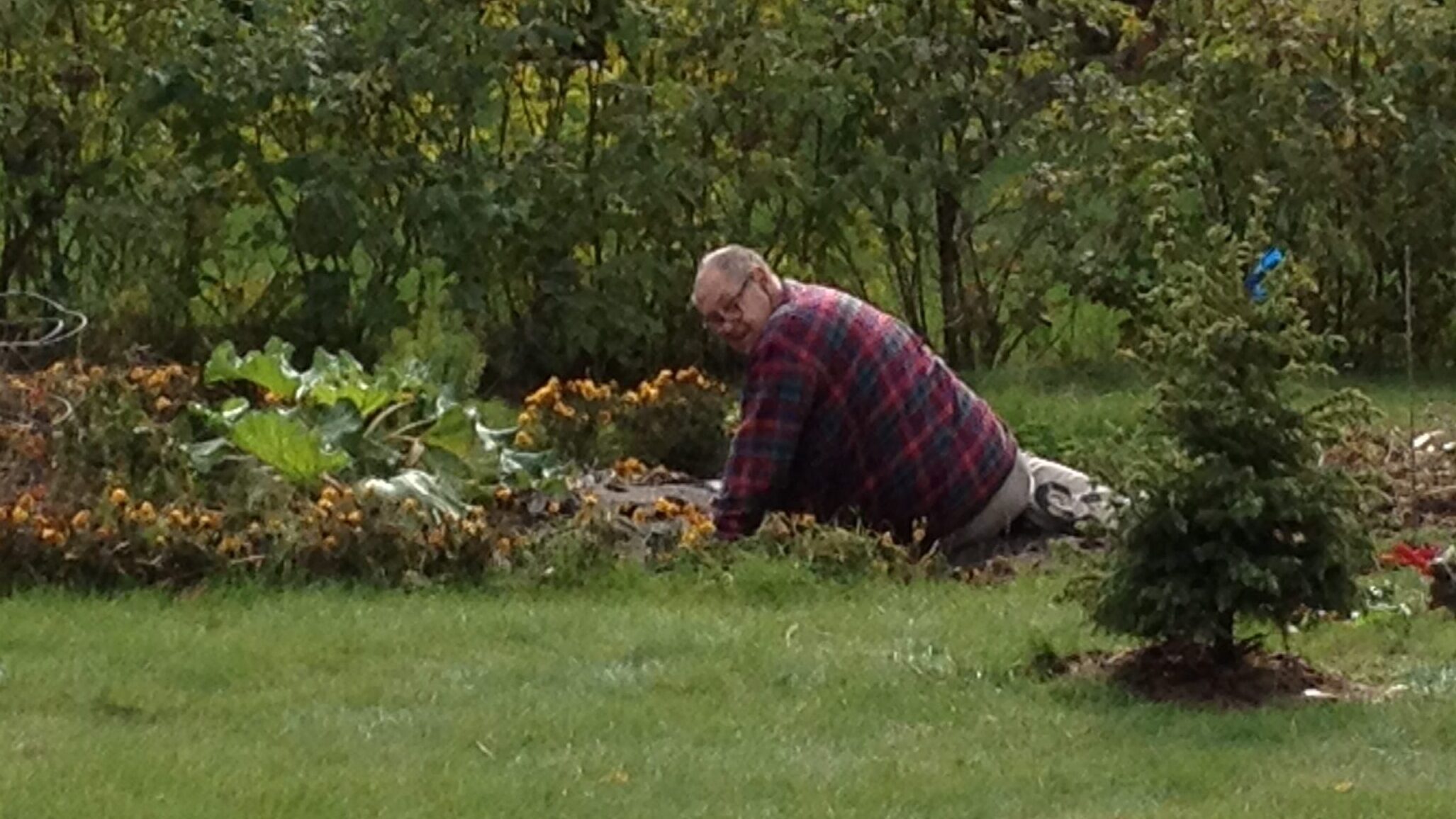 Horizontal gardening